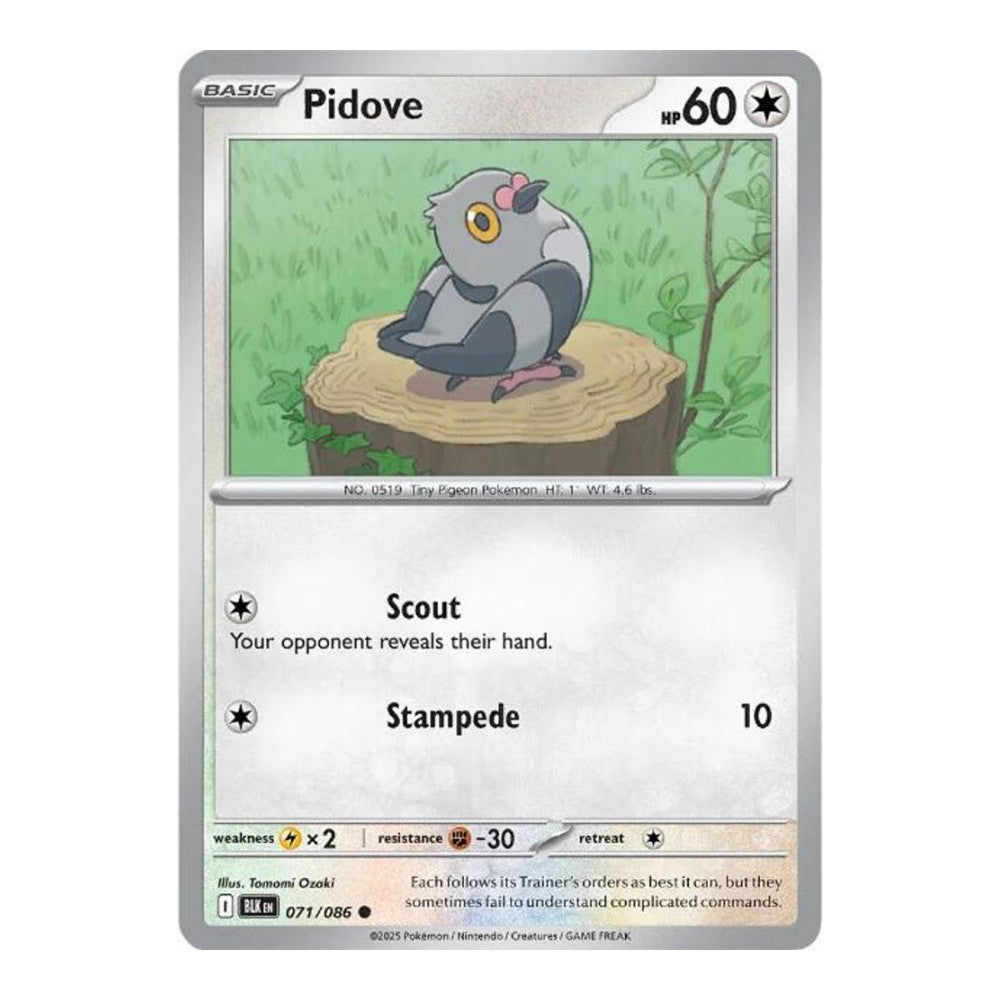 SV: Black Bolt (BLK) - Pidove (#071/086) (Near Mint)