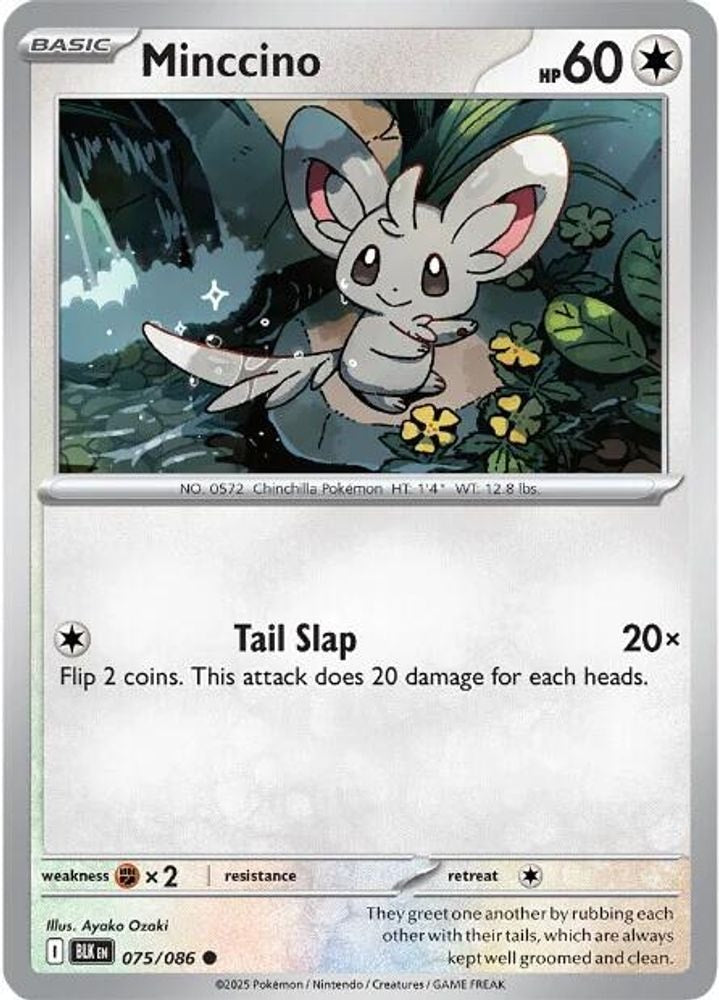 SV: Black Bolt (BLK) - Minccino (#075/086, Common) ()