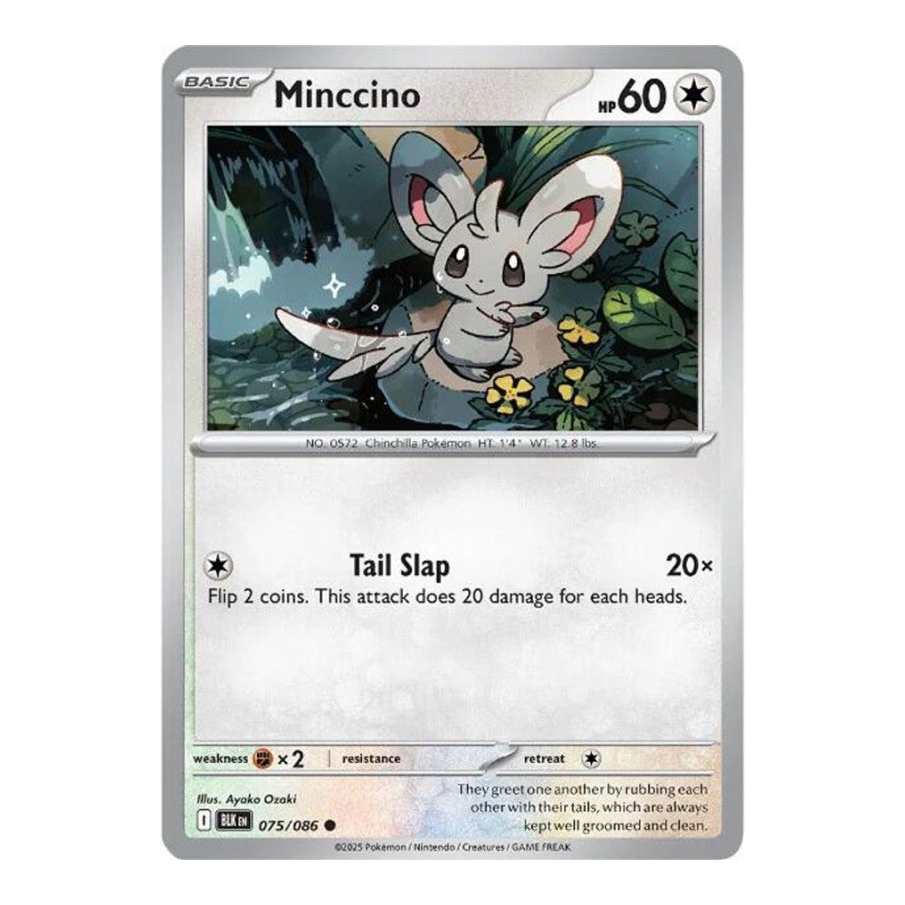 SV: Black Bolt (BLK) - Minccino (#075/086) (Near Mint)