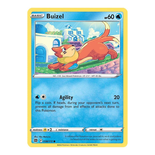 SWSH09: Brilliant Stars (SWSH09) - Buizel (#038/172) (Near Mint)