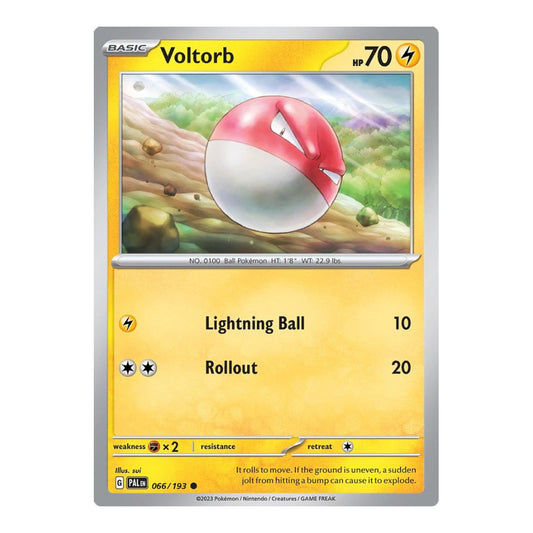 SV02: Paldea Evolved (PAL) - Voltorb (#066/193) (Near Mint)