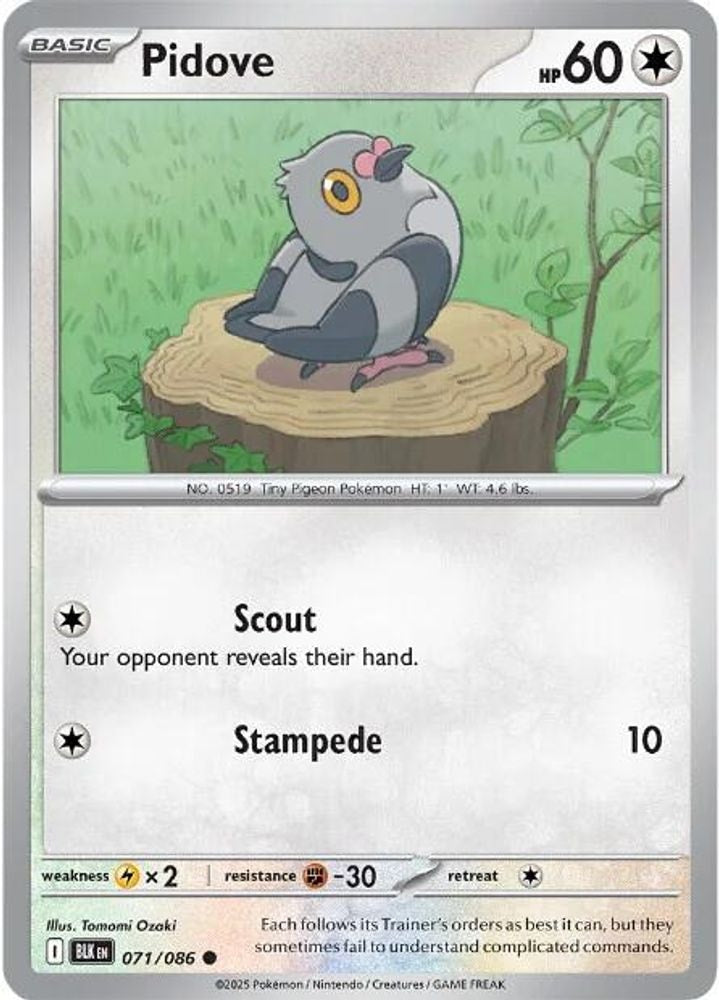 SV: Black Bolt (BLK) - Pidove (#071/086, Common) ()