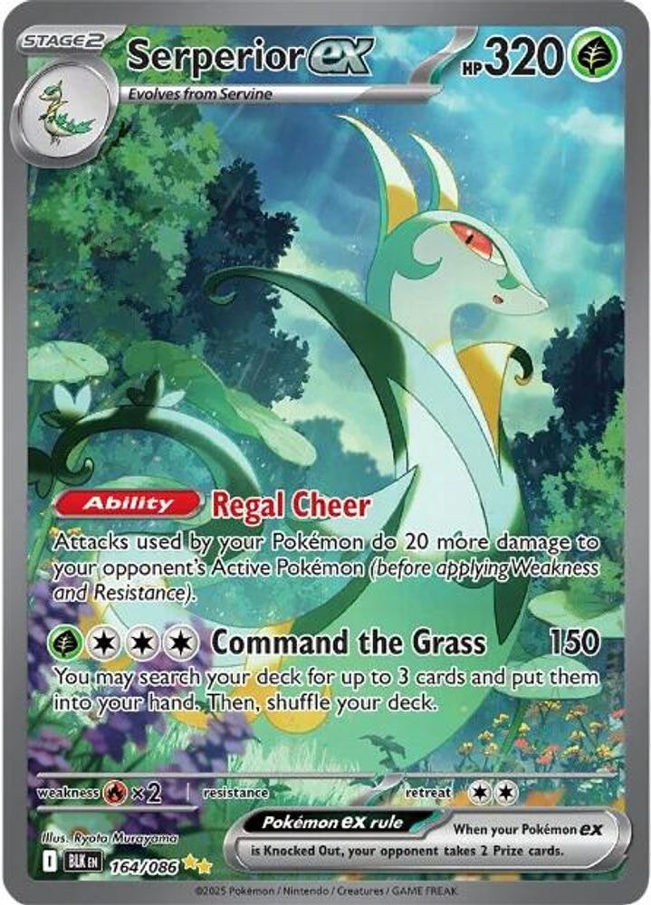 SV: Black Bolt (BLK) - Serperior ex - 164/086 (#164/086, Special Illustration Rare) ()